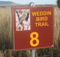 Weddin Bird Trails - Accommodation Resorts