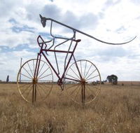 Animals on Bikes - Accommodation Resorts
