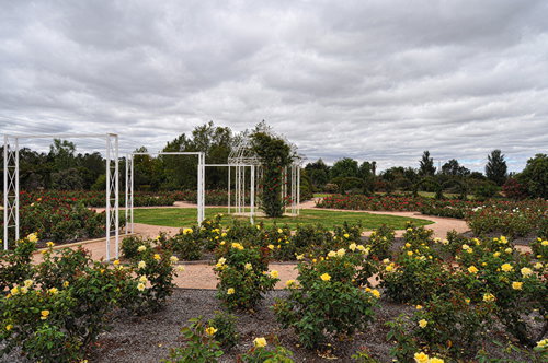 Buronga NSW Accommodation Resorts