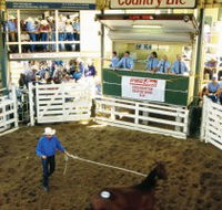 Gracemere Exhibition Complex - Accommodation Resorts
