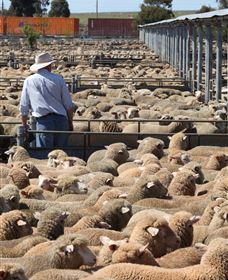 Livestock Marketing Centre - Accommodation Resorts 0