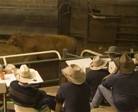 Livestock Marketing Centre - Accommodation Resorts 2