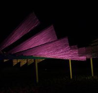 Public Art Wagga Wagga - Accommodation Resorts