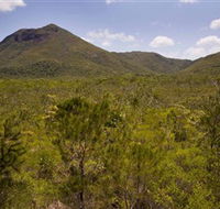 Kutini-Payamu Iron Range National Park CYPAL - Accommodation Resorts