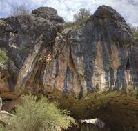 Borenore Karst Conservation Reserve - Accommodation Resorts
