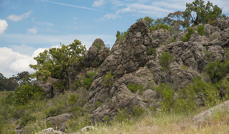 Lidster NSW Accommodation Resorts