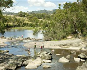 Polly McQuinns - Accommodation Resorts 0