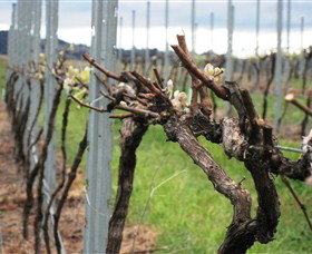 Stockmans Ridge Wines - Accommodation Resorts 2