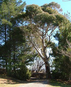 Habitat Vineyard - Accommodation Resorts 1