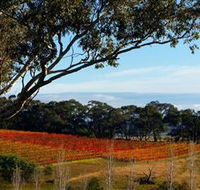 Bloodwood Estate - Accommodation Resorts