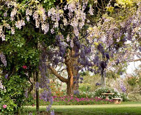 Wombat Heights Orchard And Grog Shed - Accommodation Resorts 2