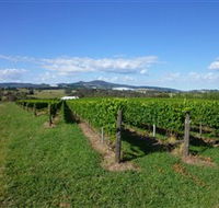 Hedberg Hill Wines - Accommodation Resorts