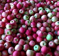 Hillside Orchard - Accommodation Resorts