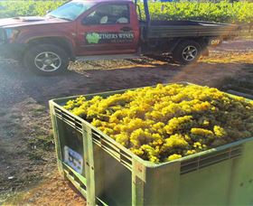 Mortimers Of Orange - Accommodation Resorts 2