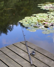 Orange NSW Accommodation Resorts