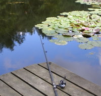 Ophir Reserve - Accommodation Resorts