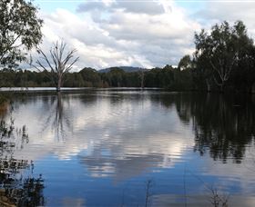 Wonga Wetlands - Accommodation Resorts 1