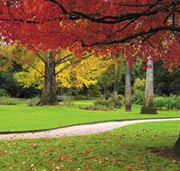Albury Botanic Gardens - Accommodation Resorts