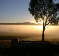 Patina Wines - Accommodation Resorts