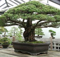 Peards Complex Albury - Accommodation Resorts