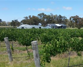 Short Sheep Micro-Winery - Accommodation Resorts 1