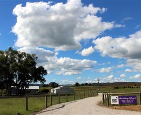Short Sheep Micro-Winery - Accommodation Resorts 8