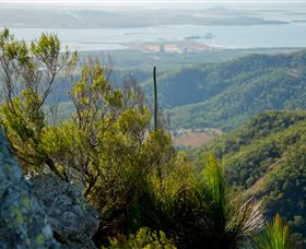 Mount Larcom Climb - Accommodation Resorts 1