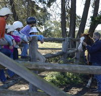 Harlow Park Horse Riding - Accommodation Resorts