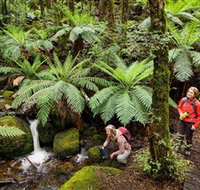 Baw Baw National Park - Accommodation Resorts
