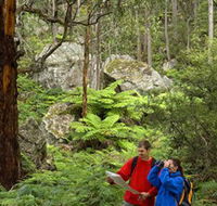 Centennial Glen - Accommodation Resorts