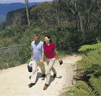 Blue Mountains Walking Tracks - Accommodation Resorts
