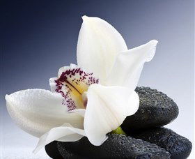 H2O Spa - Accommodation Resorts 1
