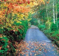 Mount Wilson and Mount Irvine - Accommodation Resorts