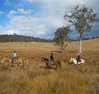 Chapman Valley Horse Riding - Accommodation Resorts