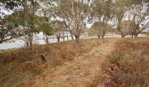 Lagoon Circuit Walking Track - Accommodation Resorts 1