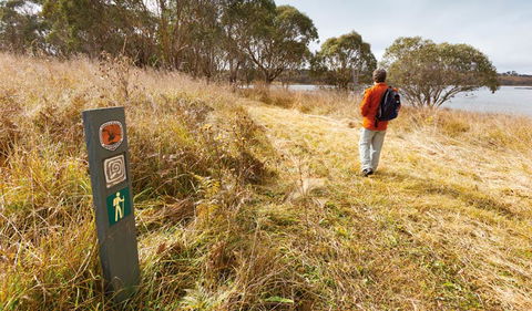 Lagoon Circuit Walking Track - Accommodation Resorts 2