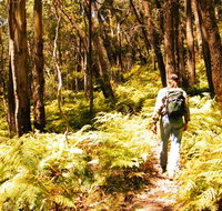 Federal Pass - Accommodation Resorts