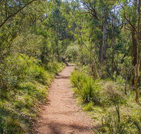 Mares Forest Creek walking track - Accommodation Resorts