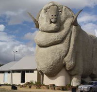 Big Merino - Accommodation Resorts