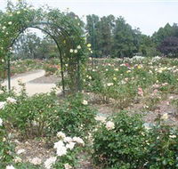 Victoria Park Rose Garden - Accommodation Resorts