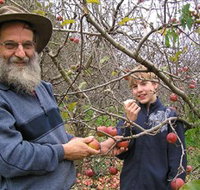 Pine Crest Orchard - Accommodation Resorts