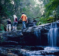 South Lawson Waterfall Circuit - Accommodation Resorts
