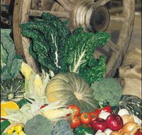 Mulgowie Real Farmers Markets - Accommodation Resorts