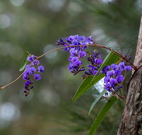 Mann River Nature Reserve - Accommodation Resorts