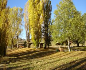 Gaden Trout Hatchery - Accommodation Resorts 1