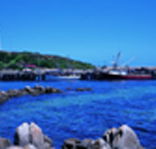King Island Dairies - Accommodation Resorts