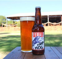 Feral Brewing Company - Accommodation Resorts