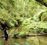 Morwell National Park - Accommodation Resorts