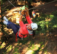 Trees Adventure Grose River Park - Accommodation Resorts