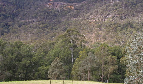 Bangadilly National Park - Accommodation Resorts 0